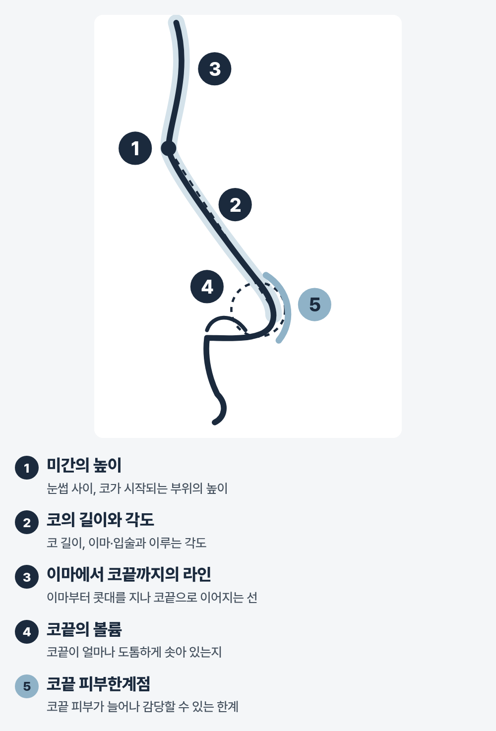 오른쪽을 바라보는 얼굴 옆모습을 이마부터 윗입술까지 선으로 그린 도식. 1번은 눈썹 사이에서 코가 시작되는 콧뿌리, 2번은 콧뿌리에서 코끝까지의 콧대, 3번은 이마에서 코끝까지 이어지는 선, 4번은 코끝의 둥근 부분, 5번은 코끝 바깥 피부에 번호가 붙어 있고, 옆에 미간의 높이·코의 길이와 각도·이마에서 코끝까지의 라인·코끝의 볼륨·코끝 피부한계점이라는 설명이 있습니다.