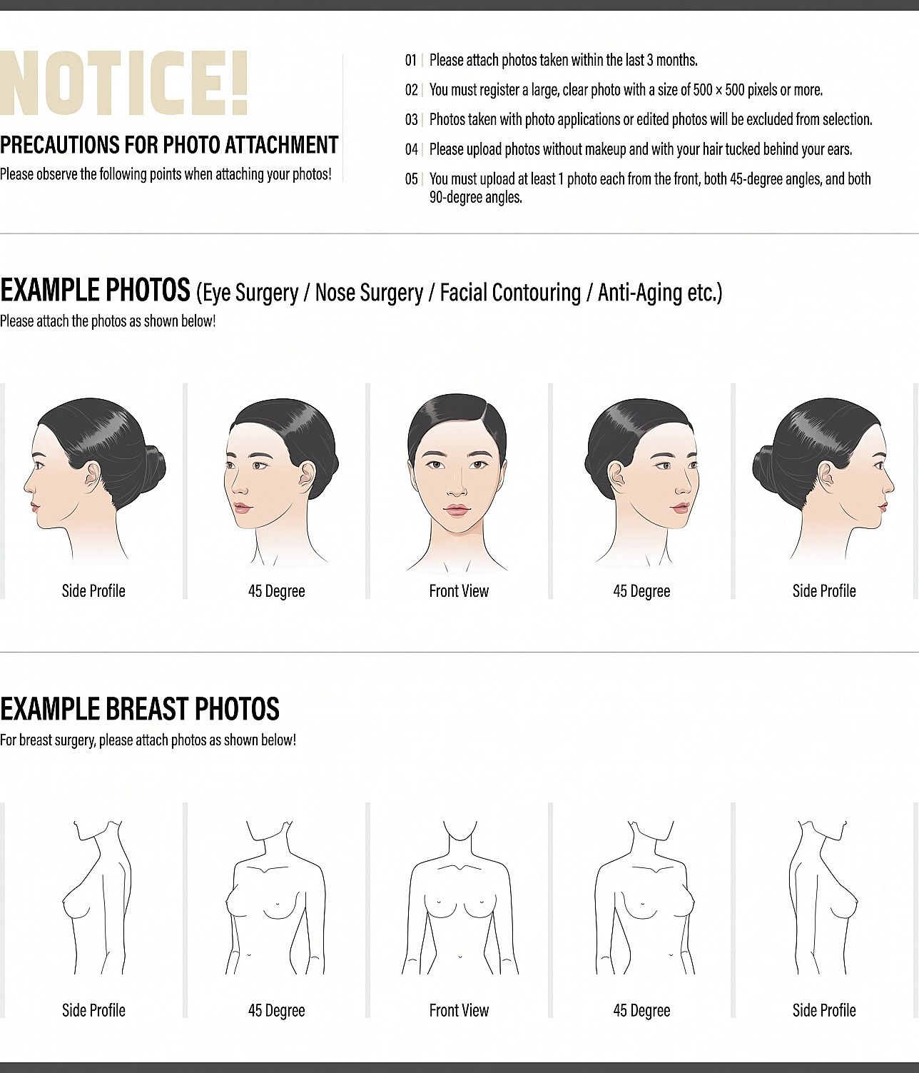 Guidelines for model application photo submissions showing side, 45-degree, and frontal angle examples for facial and breast areas