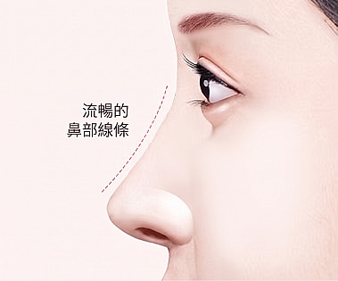 透過駝峰鼻整形打造流暢鼻樑線條的女性側臉與光滑鼻線文字