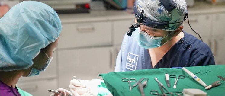 에이펙스성형외과 수술실에서 수술용 헤드라이트와 루페를 착용한 집도의가 어시스턴트와 함께 성형 수술을 진행하는 모습