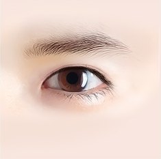 남자 눈성형 진단을 위한 자연스러운 무쌍꺼풀 눈매와 눈썹의 클로즈업 일러스트