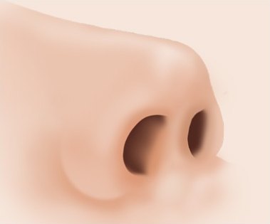 코끝 성형 후 콧구멍과 코끝 모양이 입체적으로 정돈된 모습을 아래에서 올려다본 일러스트