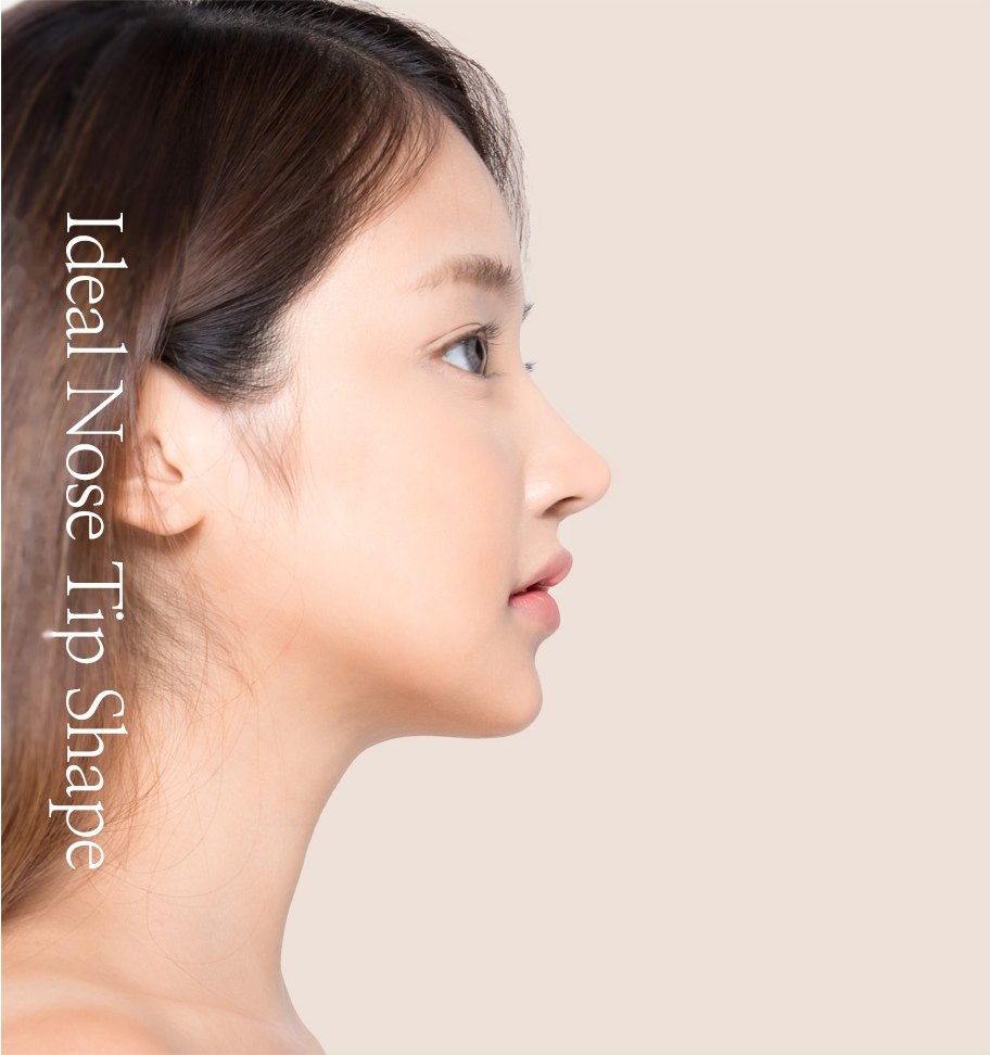 Ideal Nose Tip Shape 문구와 함께 코끝 성형의 이상적인 옆모습 라인을 보여주는 여성의 프로필