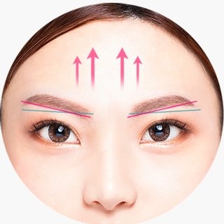 이마거상술 안내를 위해 여성의 이마와 눈썹 부위에 위쪽 방향 화살표와 눈썹 기울기 가이드라인을 표시한 도해