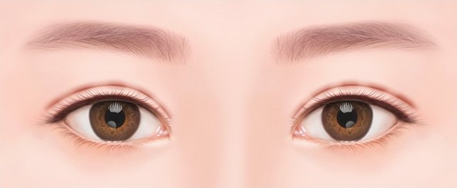 눈재수술 및 눈성형 상담을 위한 또렷한 눈매와 눈썹 모양을 표현한 양쪽 눈 일러스트