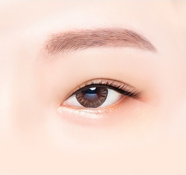 윗트임 등 트임성형 설명을 위해 표현된 갈색 눈동자와 눈썹이 있는 눈매 일러스트