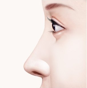 측면에서 바라본 매끄러운 콧대와 코끝 라인의 옆모습, 짧은코 및 들창코 성형 관련 참고 모습