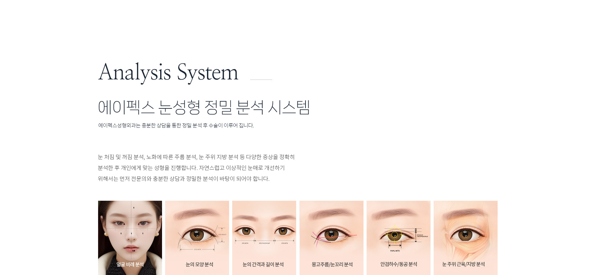 눈성형정밀분석
